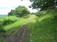 
Graig Wen levels and quarry access lane (possibly a tramway), June 2008